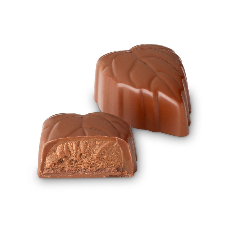 FEUILLE LAIT