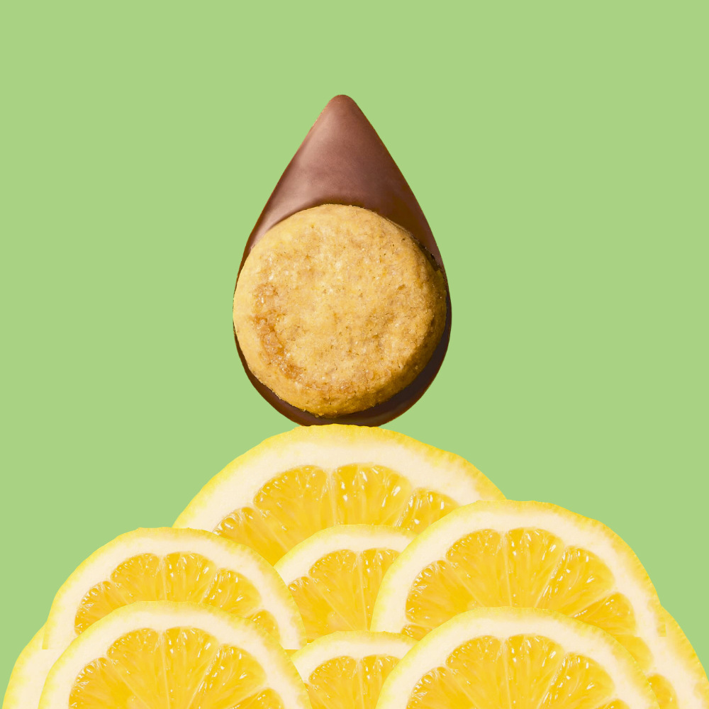 SACHET 8 GUSTAVES CITRON