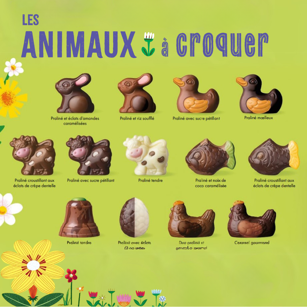 SACHET ANIMAUX PRALINÉS