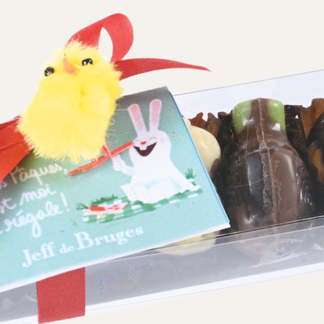 STRIP 9 ASSORTED PRALINE ANIMALS