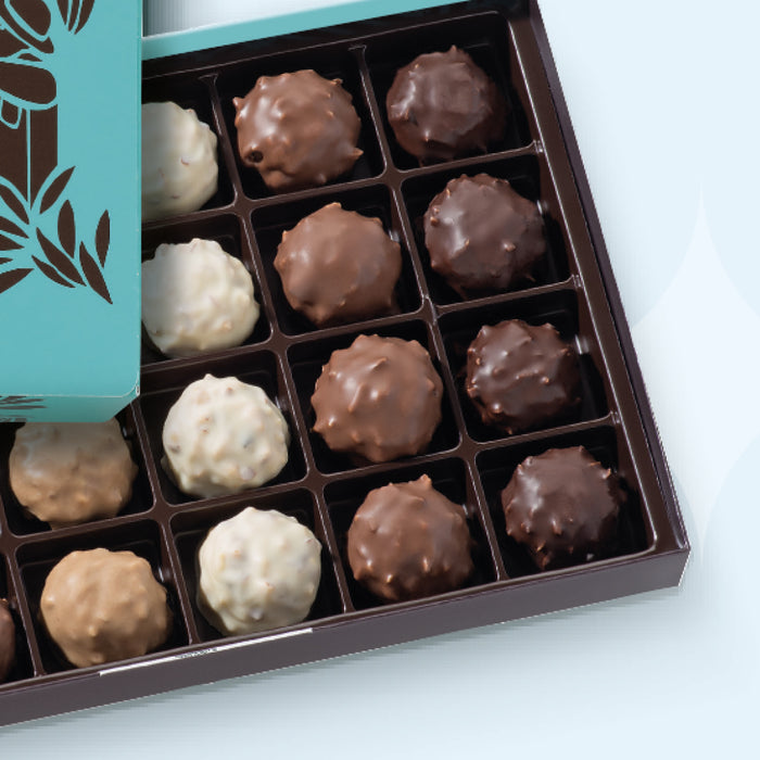 24 ROCHERS PRALINÉS