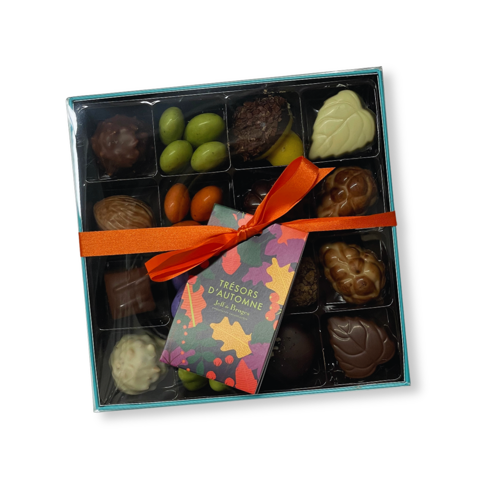 BOITE SPÉCIALITÉ 16 CHOCOLATS AUTOMNE