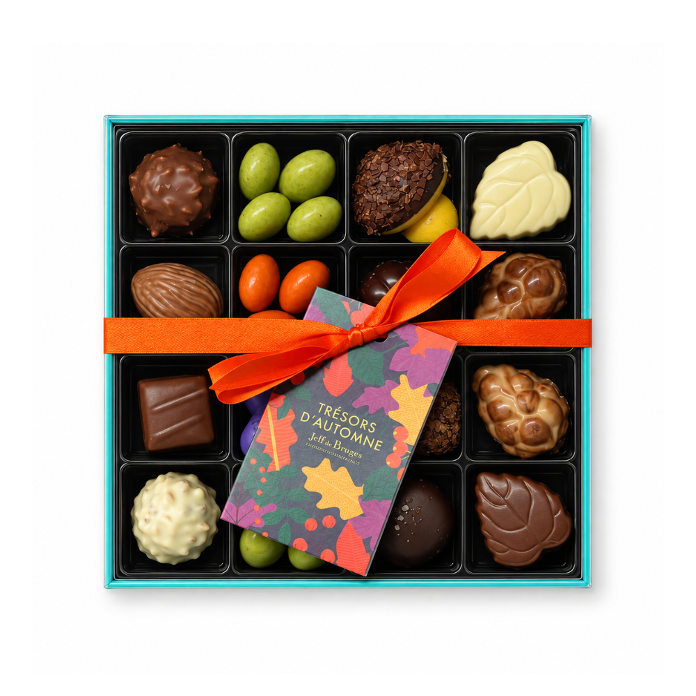 BOITE SPÉCIALITÉ 16 CHOCOLATS AUTOMNE