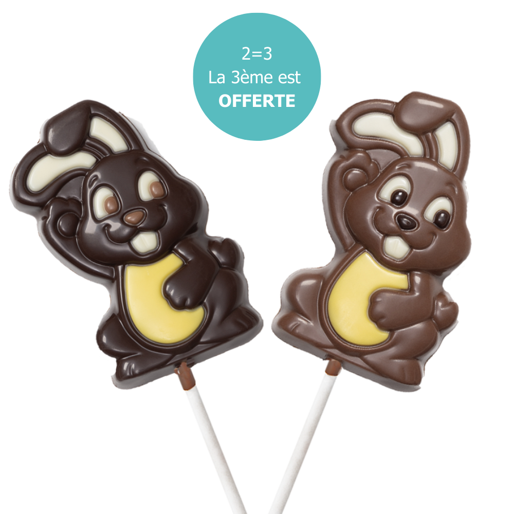 CHOCOCETTE CHOCOLAT ANIMAUX