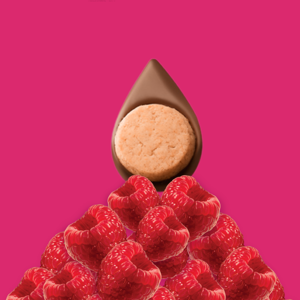 SACHET 8 GUSTAVES FRAMBOISE