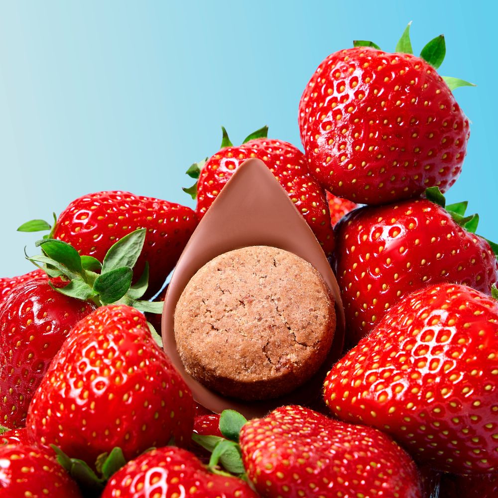 BAG OF 8 STRAWBERRY GUSTAVES