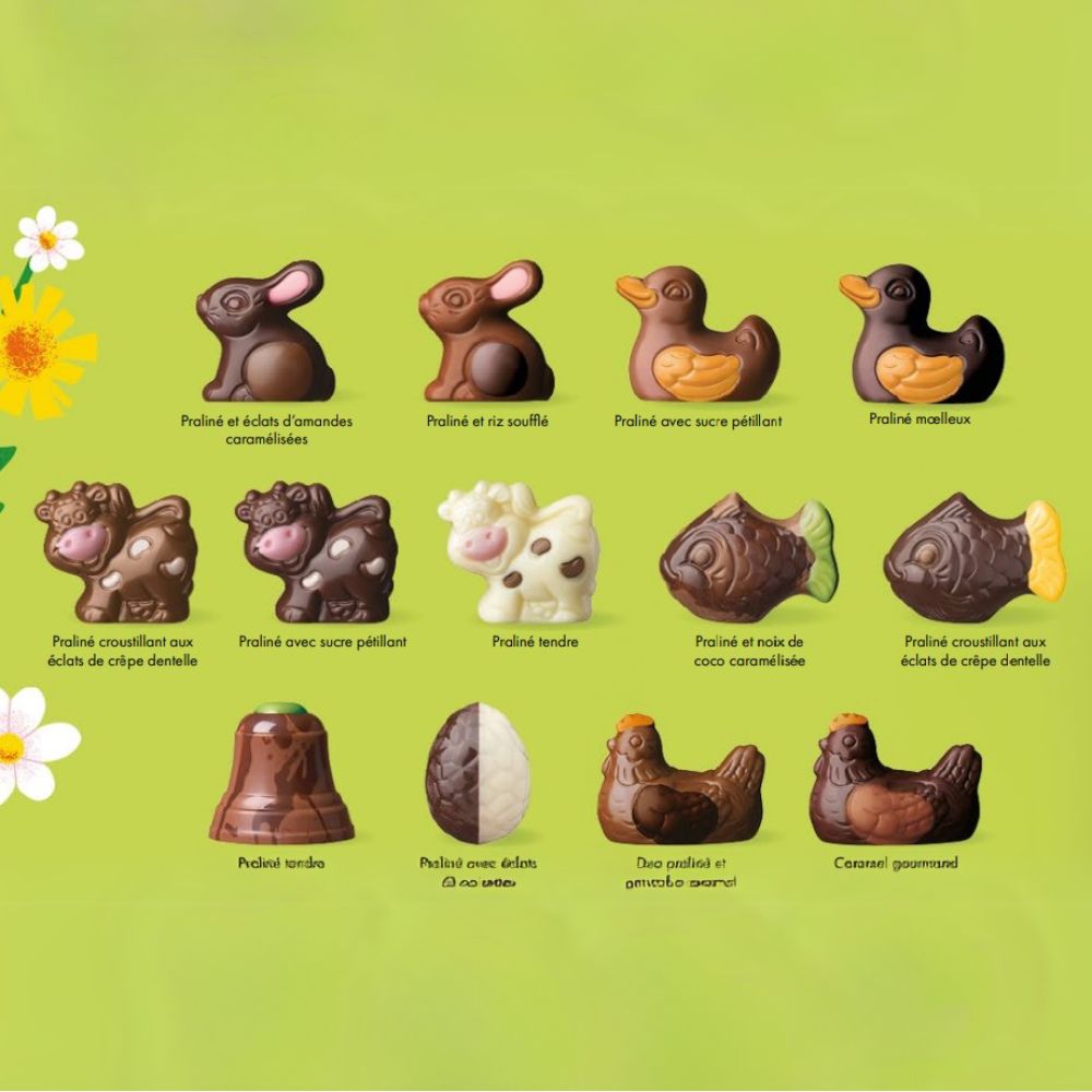BAG OF ANIMAL PRALINES 178G