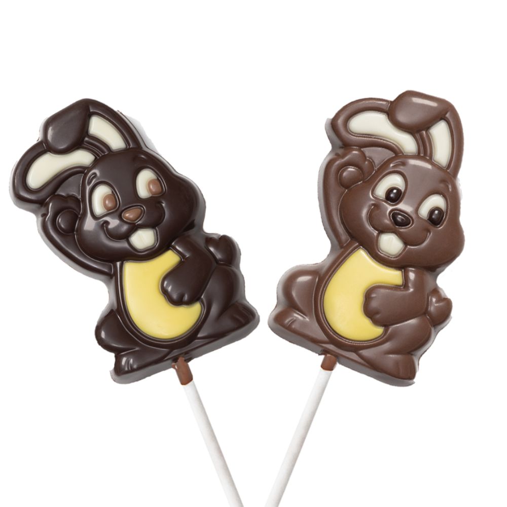 CHOCOCETTE EN CHOCOLAT ANIMAUX